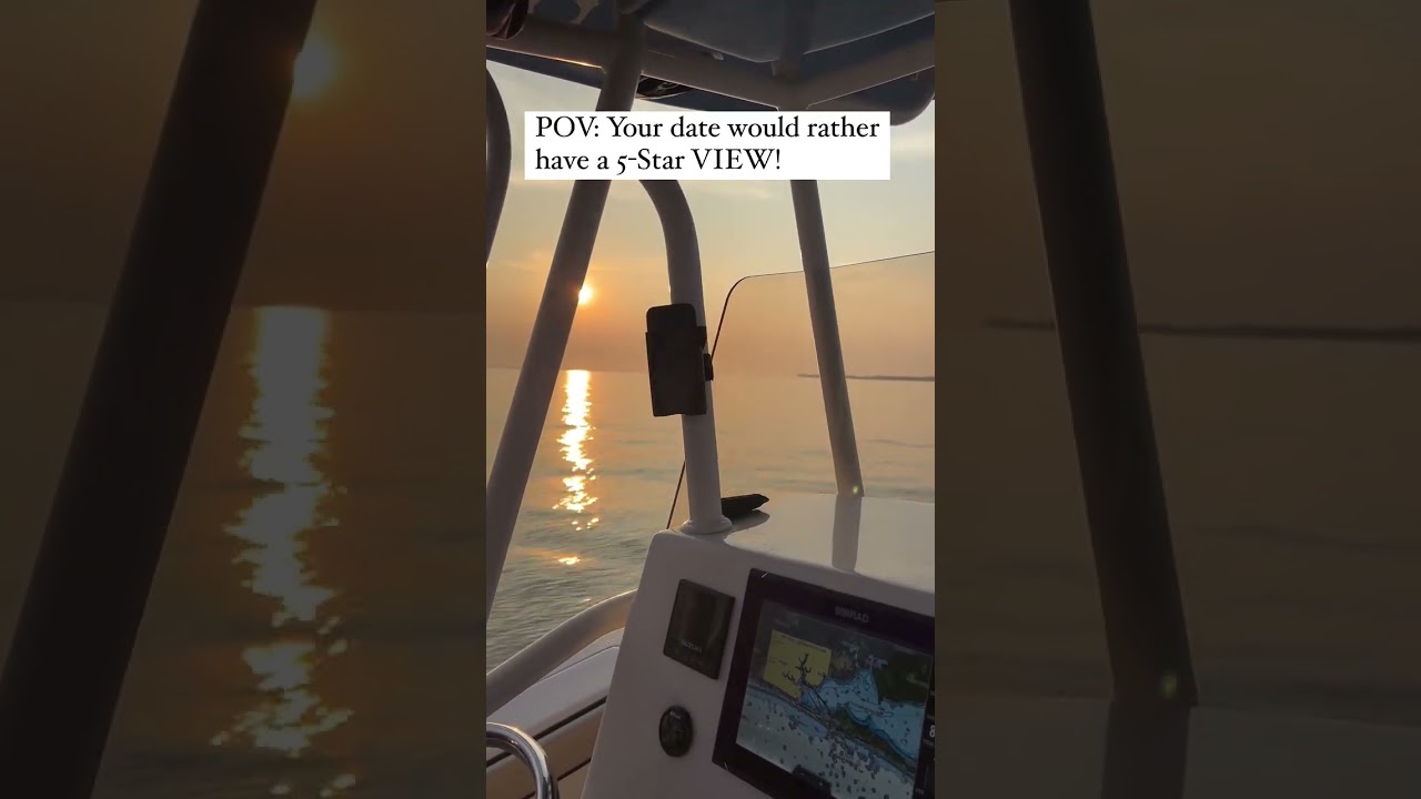 Boat Phone Holders With A View