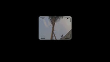 coconut tree cutting ✂️#coconut#cuttingskills #woodworking #youtubeislife #subscriber #youtubeguru