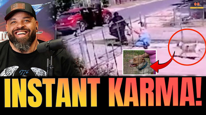 Drive-By Thugs Attempt Drive-By Gets Wrecked by Dog Instead!