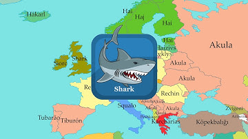 Sea ​​creatures (Shark, Crab, Jellyfish) | Comparison of European Languages