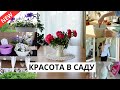 🌸ЗАЦВЕЛИ ПИОНЫ| посадили цветы, уборка в доме, готовлю вкусный завтрак, шоппинг с детьми