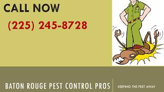 Bossier City Pest Control Expert Exterminator Service Louisiana