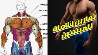 تمارين شاملة للمبتدئين | General Day Workout