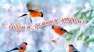 С добрым зимним утром! Пожелание доброго утра! Видео открытка.