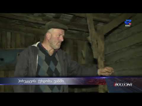 \"სამი ძროხა მომპარეს და დამიკლეს\"- ქურდობა ვანის რაიონში