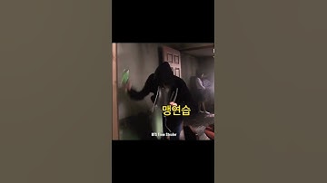 (BTS/태형/지민) 뮤비에서 사람때리는 태형이를 본 지민이 반응