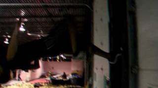 2 Step Wall Backflip