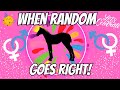 JUST RANDOM PAIRINGS = AMAZING FOALS?! WILD HORSE ISLANDS BREEDING / ROBLOX