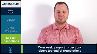 Corn trades lower on Tuesday, 4/2/24