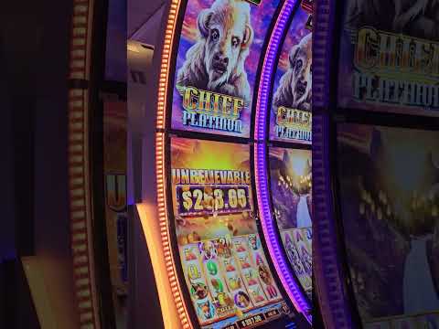 Lucky Koi | viva México casino por moll de Walmart centrika