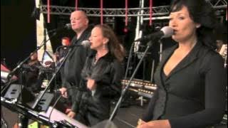 Corry Konings   Rozen die bloeien