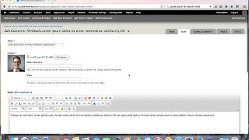 xPalladium Drupal Theme - Add/Edit Customer Review
