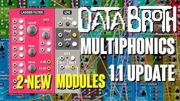 AAS Multiphonics CV-1 Sponsored Stream: New Free Update 1.1 - NewLadder Filter and LPG Modules