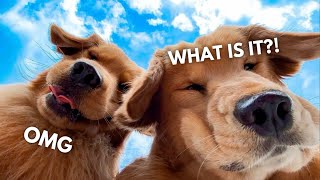 Our Favorite Day Of The Month