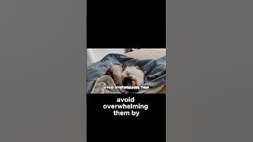 Creating a Safe Space for Your New Cat #cat