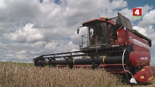 картинка: Наш район - Пружанский 12-08-23
