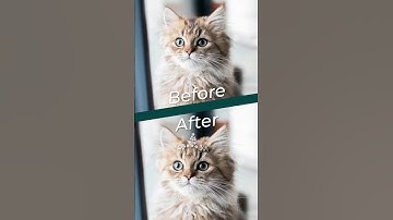 Photoshop Generative AI Top Trick #photoshopai #photoshoptutorial #generativeai