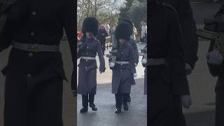 ‘FORM A GAP, MOVE’ Welsh Guard Gets tour groups to move!