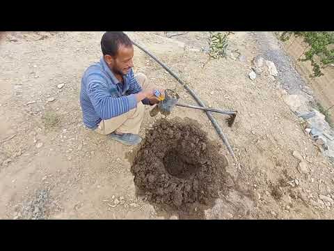 فيديو: زراعة الرمان: العناية بنباتات الرمان في عبوات