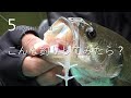 5月の釣れにくい日はコレ!(バス釣り)