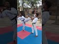 Taekwondo kicksharttaekwondo