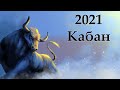 Китайский гороскоп на 2021 год : Кабан ( Свинья )