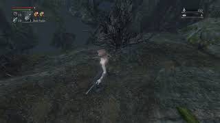 New path for Shadows AI Freeze