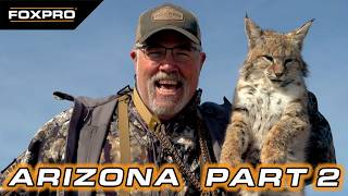 Famous Bobcats And Coyotes In Arizona!  Profile