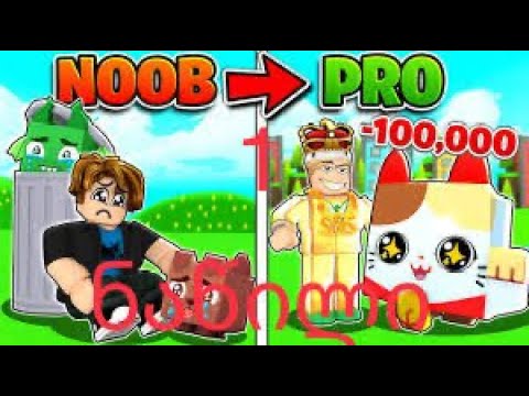 როგორ გახვიდე სწრაფად pet simulator X!!