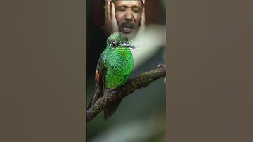 #عبدالباسط_عبدالصمد تلاوة من سورة الحشر اسماء الله الحسنى