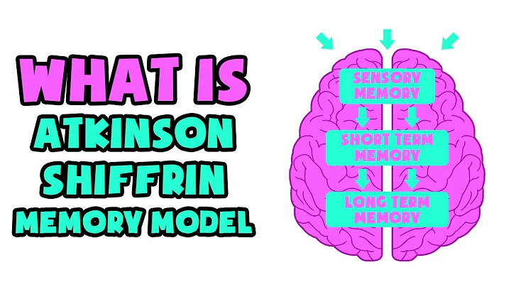 What is AtkinsonShiffrin Memory Model | Explained ...