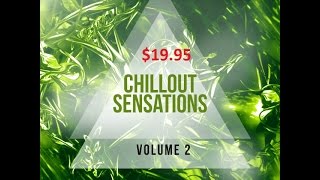 Equinox Sounds Chillout Sensations Vol 2 WAV MiDi [$19.95] تحميل حزم احترافية  مدفوعة