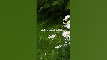 استمع لحظات تنفعك يوم القيامة....❤️.. وتجهز لرمضان 🌙 | القرآن الكريم ( شُفَيَعٍگ يَۆم آلُقيَآمة )