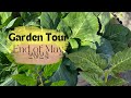 Urban Garden Tour in May - Hoping for TONS of Tomatoes #gardening