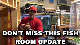 DON’T MISS THIS FISH ROOM UPDATE