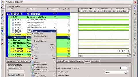 5 Building a Work Breakdown Structure In Primavera P6 by Encore Group