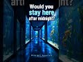 Would You Stay Here After Midnight? 🌌🐠 #shorts #studymusic #music #lofimu #fantasymusic
