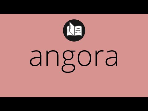 Que significa ANGORA • angora SIGNIFICADO • angora DEFINICIÓN • Que es ANGORA