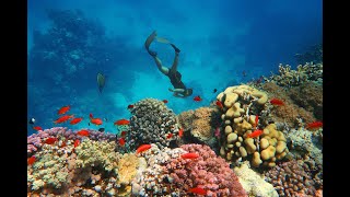 Marsa Alam - Dream Lagoon - Discoverying of Coral Reefs