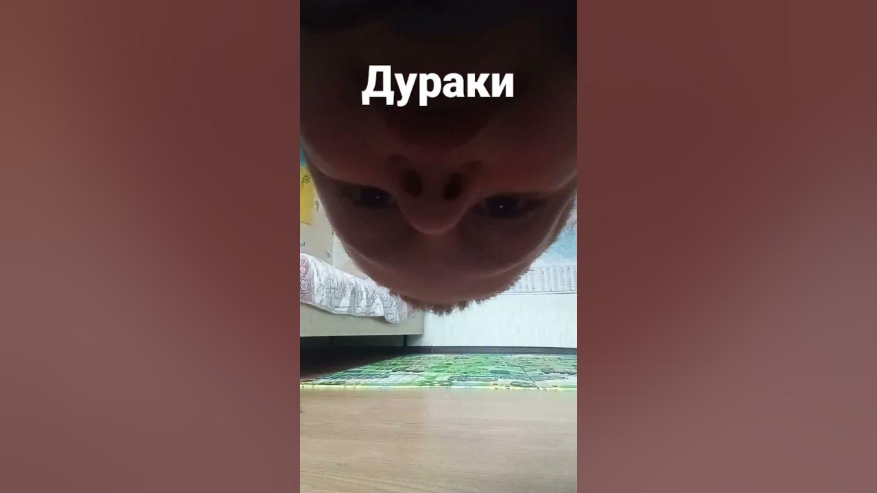 як йдуть на зборки - YouTube