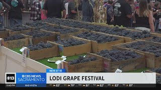 Annual Lodi Grape Festival celebrates 80th anniversary