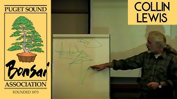Why Triangles Are Found in Art, Nature, and Bonsai - Colin Lewis Demo Highlight - Nov 2000