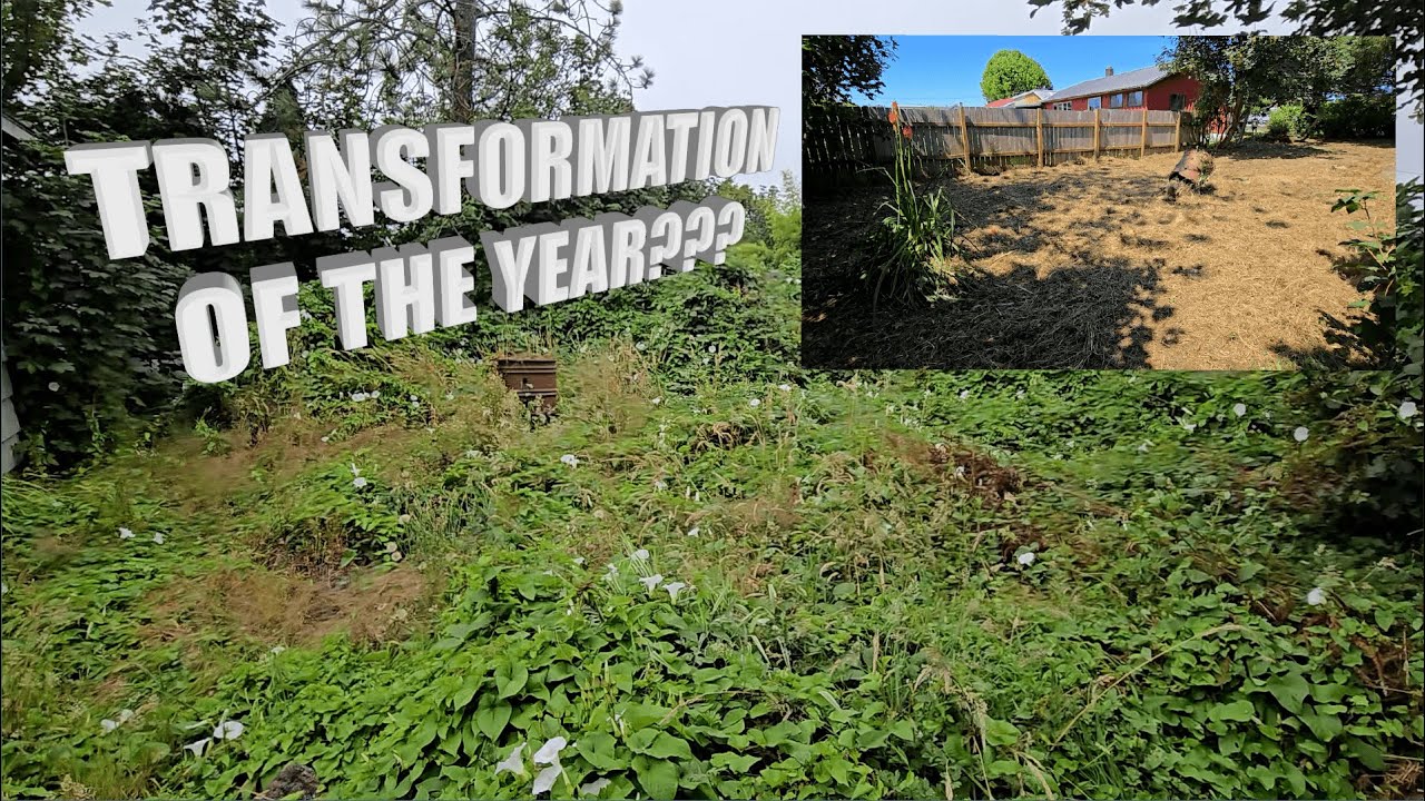 From Wasted Space to Usable Yard | Before & After Transformation