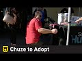 Post-workout Pet Adoption | Chuze Fitness image