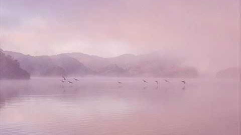 تلاوة شجية تطيب بها القلوب عطر مسمعك ورقق قلبك