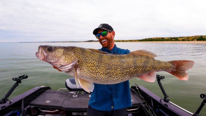 Walleye Fishing Lake Erie (CATCH & COOK)  Field Trips with Robert Field 