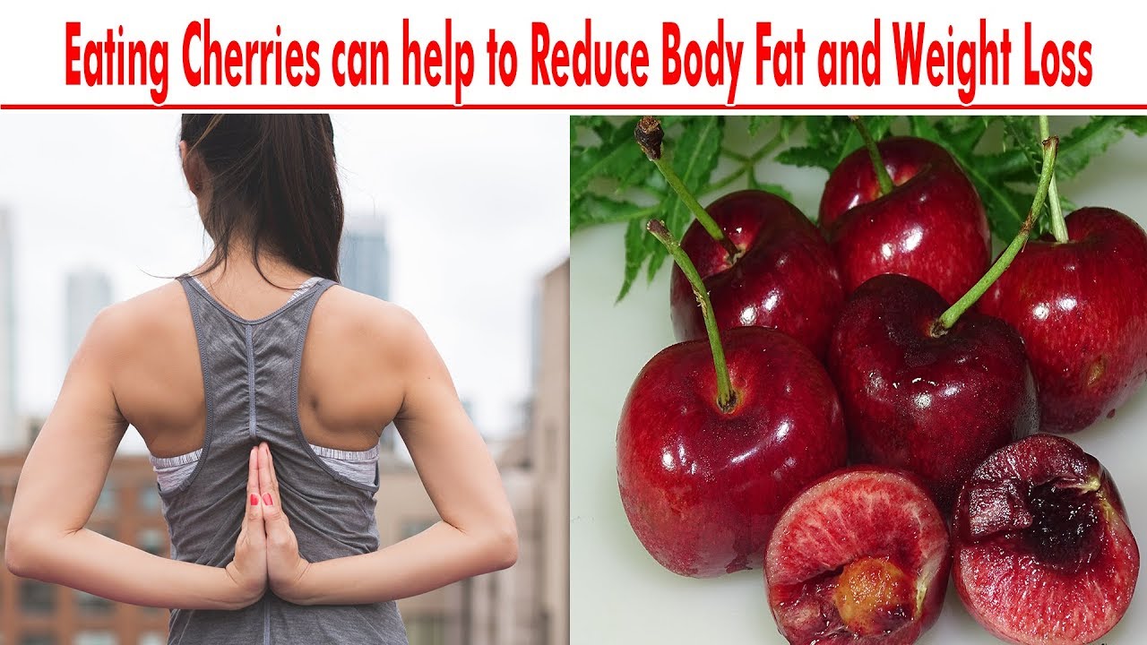 Eating Cherries Can Help To Reduce Body Fat And Weight Loss Youtube