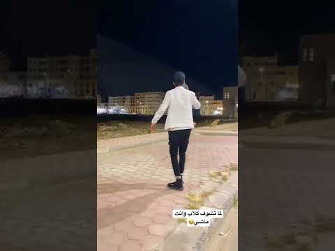 لما تشوف كلاب وانت ماشي