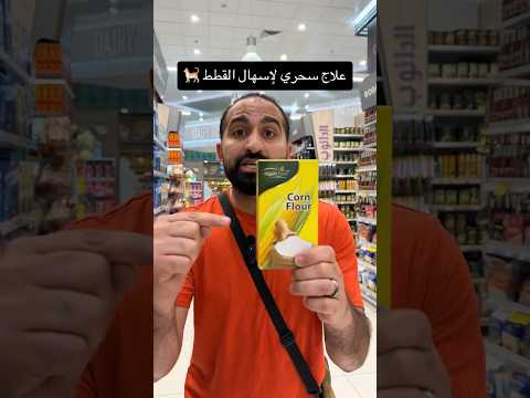 علاج إسهال القطط