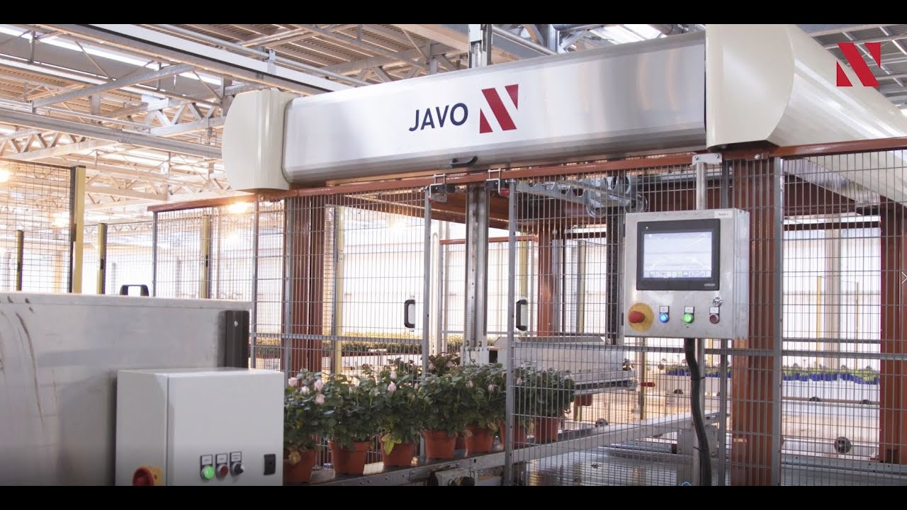 Complete Javo automatisering bij Pligt Professionals